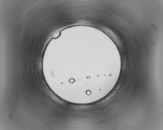 X0000110911292200907301534