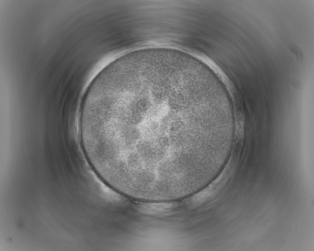 X0000110911294200907301534