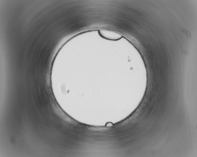 X0000110911296200907301534