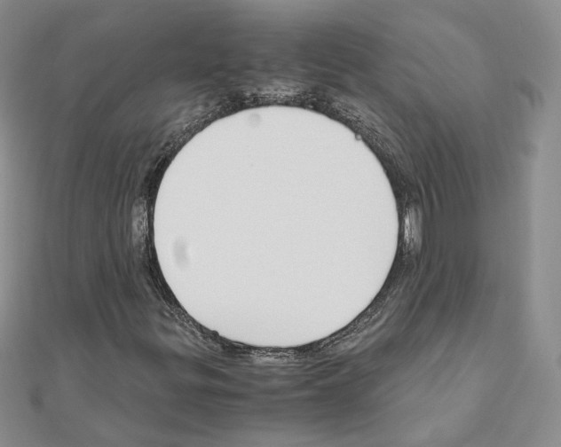 X0000110911299200907301533