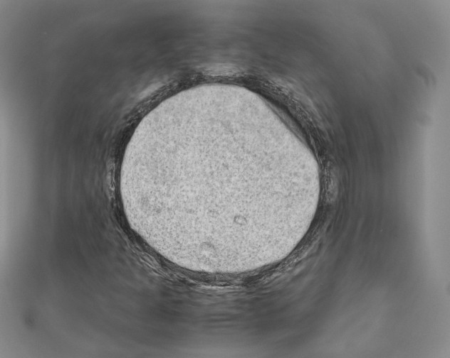 X0000110911301200907301533