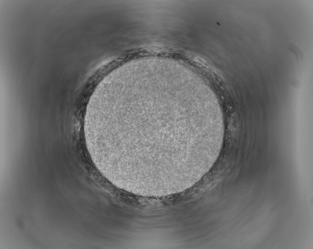 X0000110911302200907301533