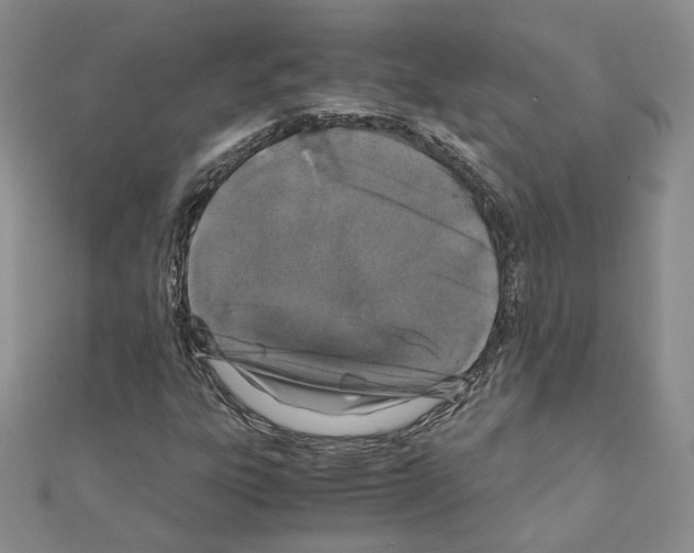 X0000110911303200907301533