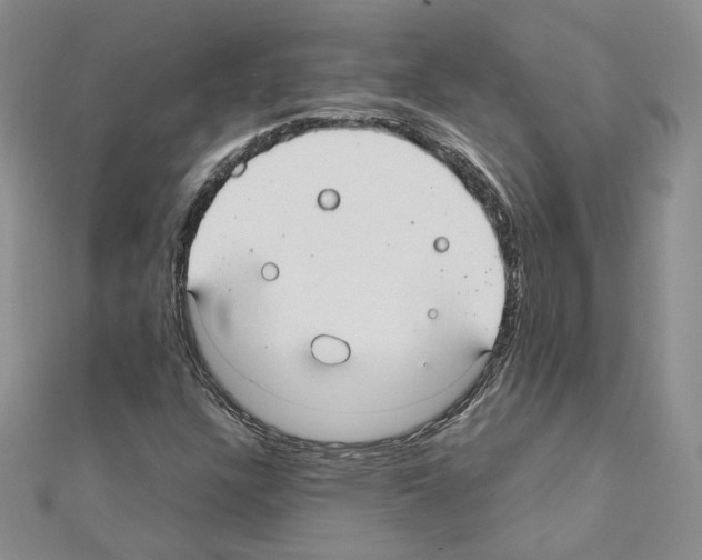 X0000110911304200907301533