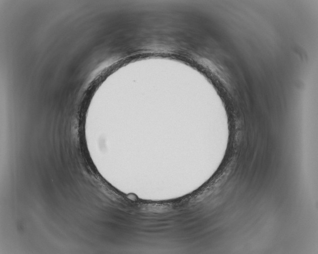 X0000110911307200907301533