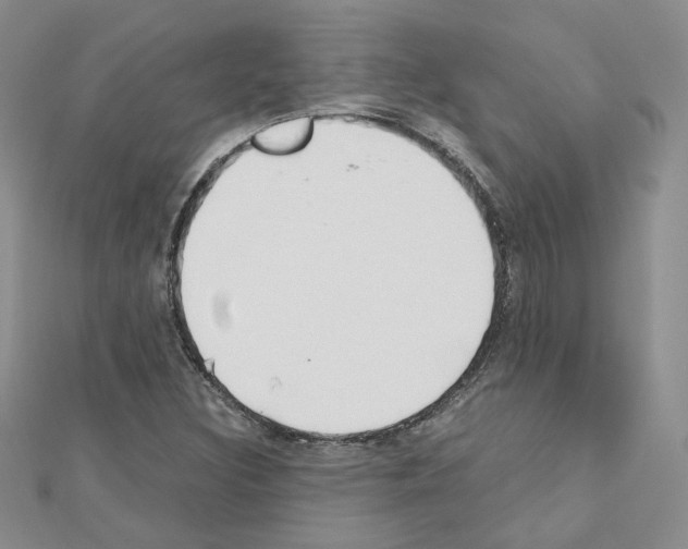 X0000110911308200907301533