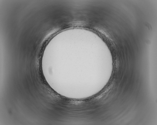 X0000110911309200907301533