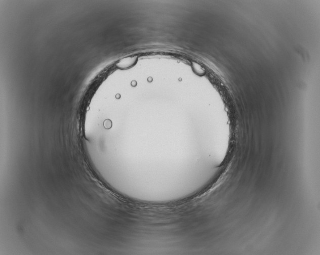 X0000110911310200907301533