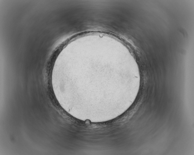 X0000110911311200907301533