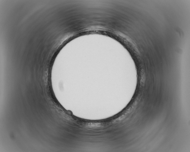 X0000110911313200907301533