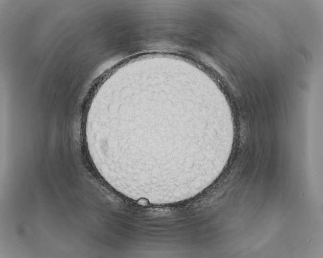 X0000110911315200907301533