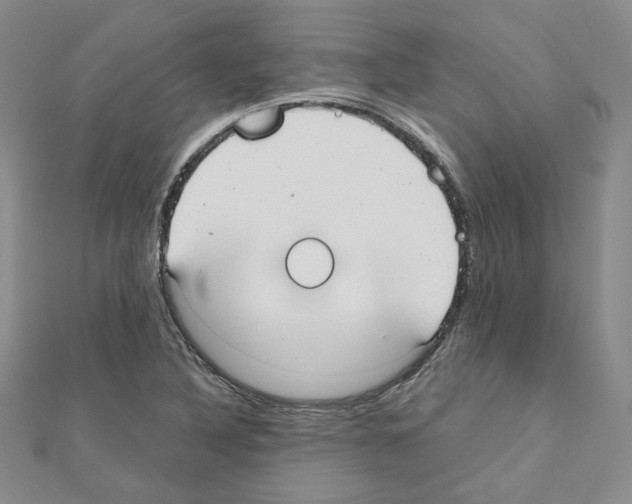 X0000110911316200907301533