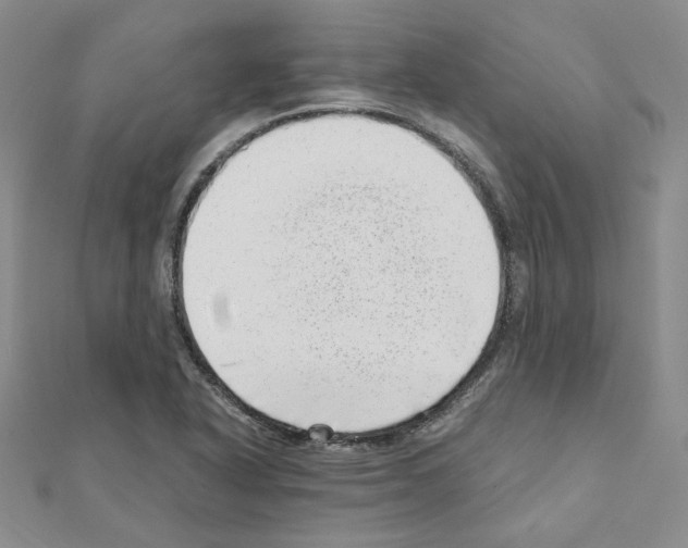 X0000110911318200907301533