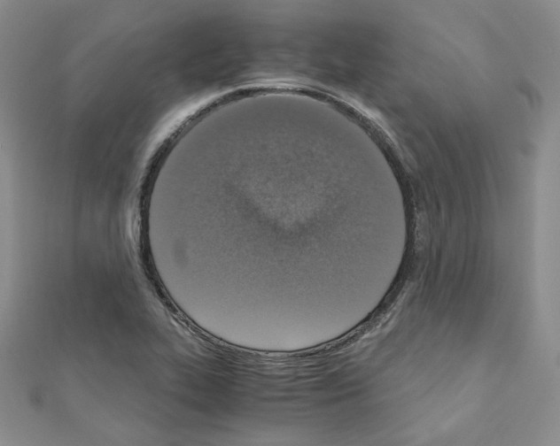 X0000110911319200907301533