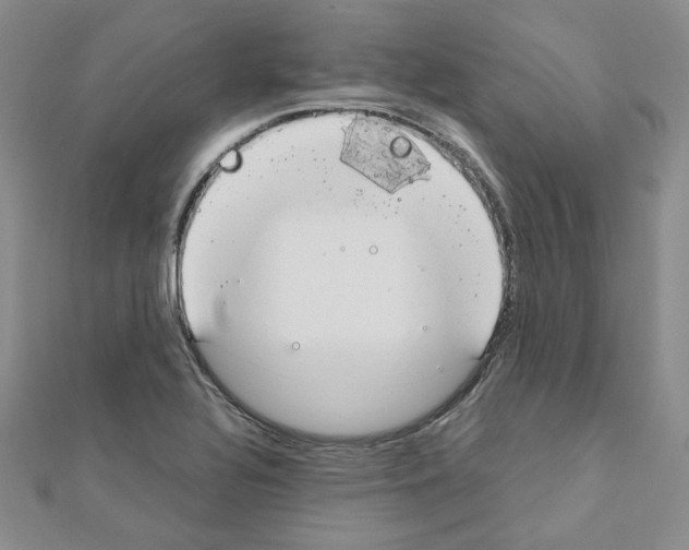 X0000110911320200907301533