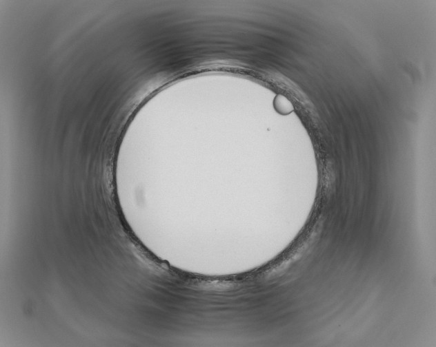 X0000110911321200907301533