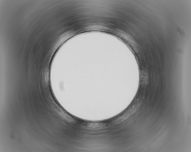 X0000110911322200907301533