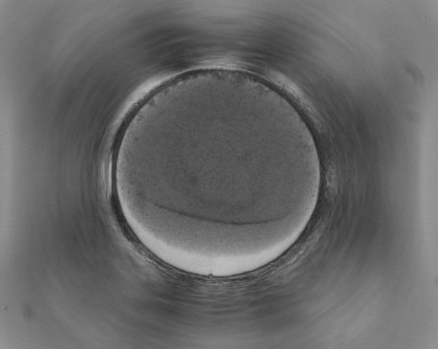 X0000110911323200907301533