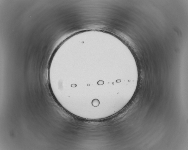 X0000110911324200907301533