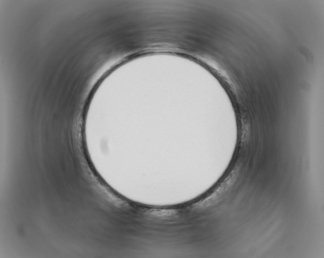 X0000110911325200907301533