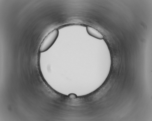 X0000110911326200907301533