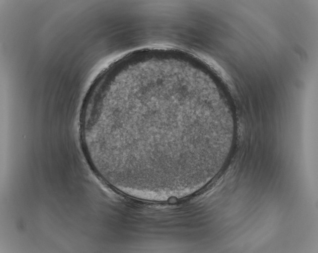 X0000110911327200907301533