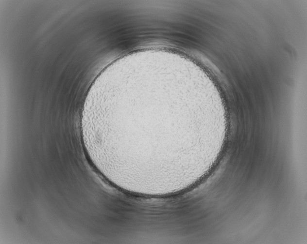 X0000110911329200907301533