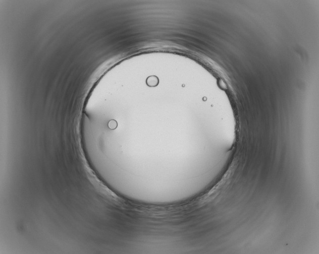 X0000110911330200907301533