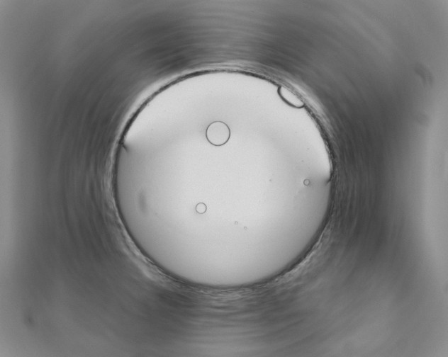 X0000110911332200907301533