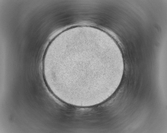 X0000110911335200907301533