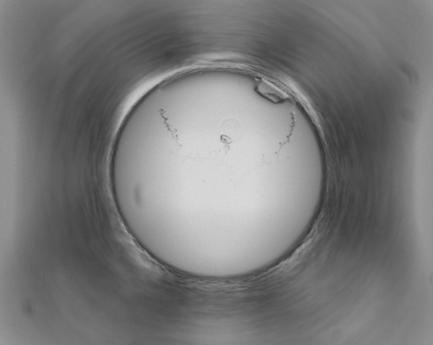 X0000110911336200907301533