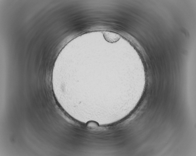 X0000110911337200907301533