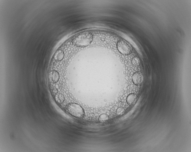 X0000110911338200907301533