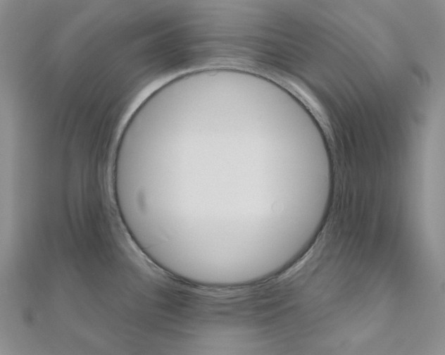 X0000110911340200907301533