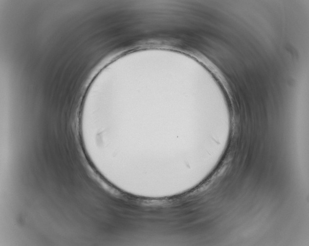 X0000110911341200907301533