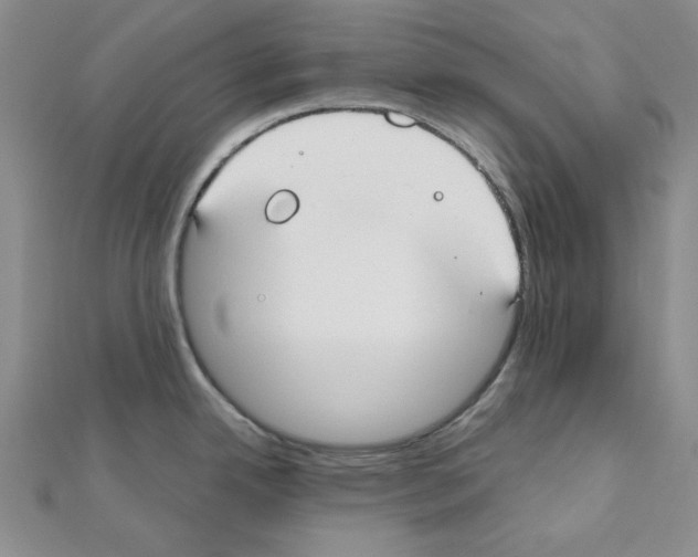 X0000110911342200907301534