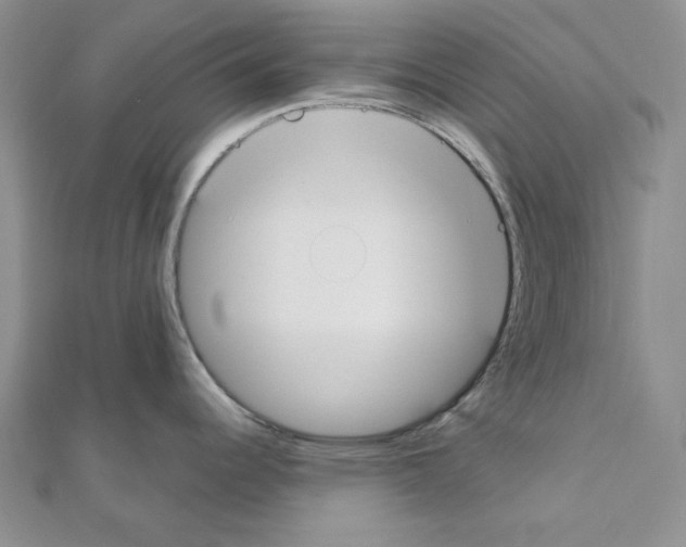 X0000110911344200907301534