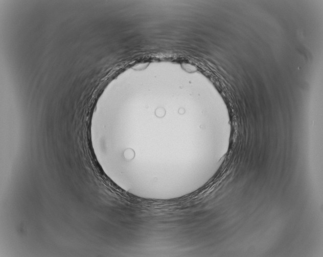 X0000110911345200907301533