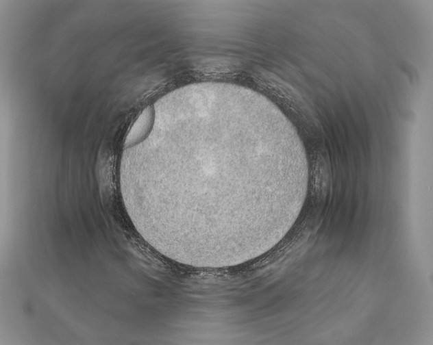 X0000110911346200907301533