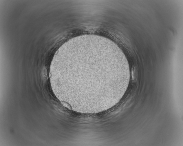 X0000110911347200907301533