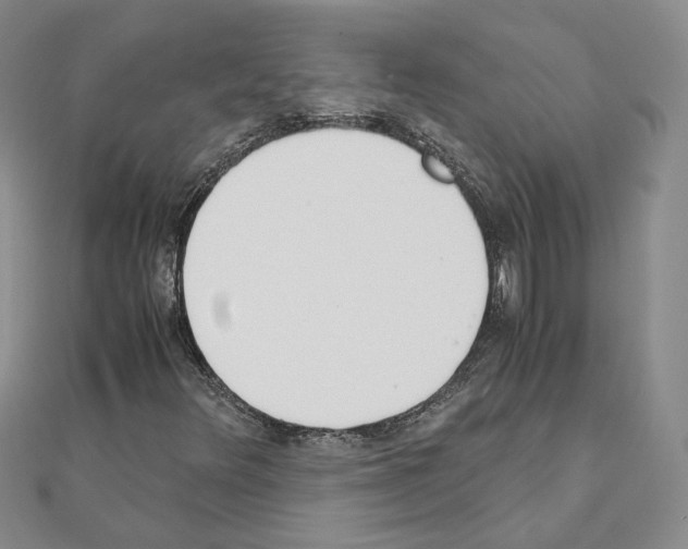 X0000110911348200907301533