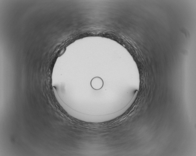 X0000110911349200907301533