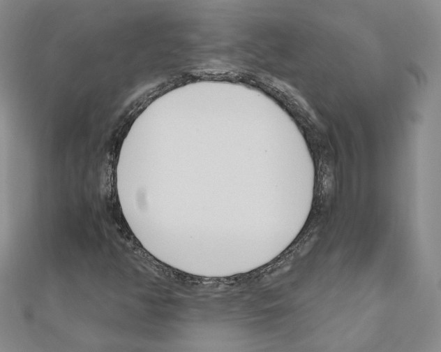 X0000110911350200907301533