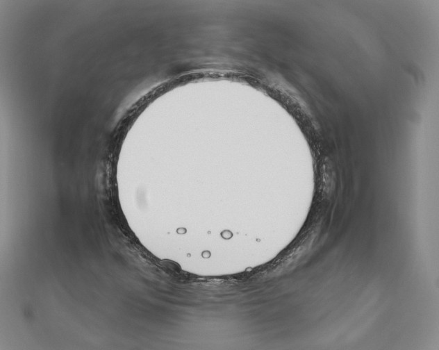 X0000110911352200907301533