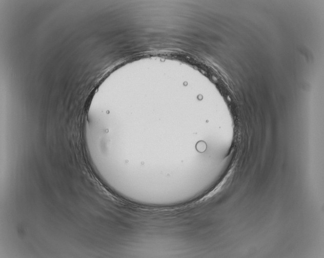 X0000110911353200907301533