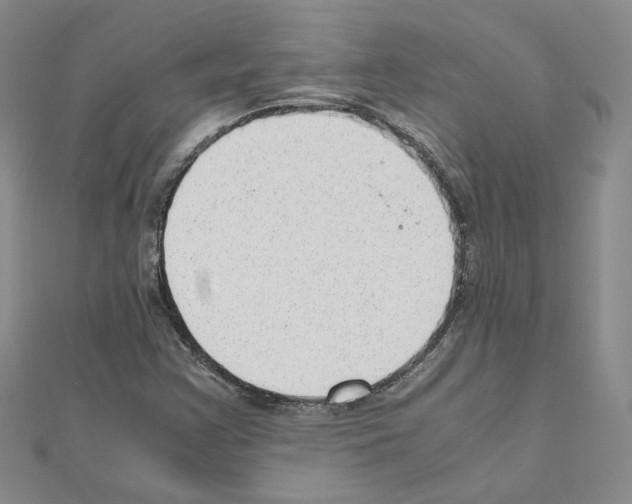 X0000110911355200907301533