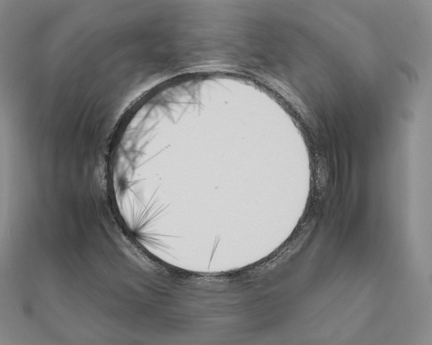 X0000110911356200907301533