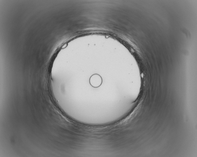 X0000110911357200907301533