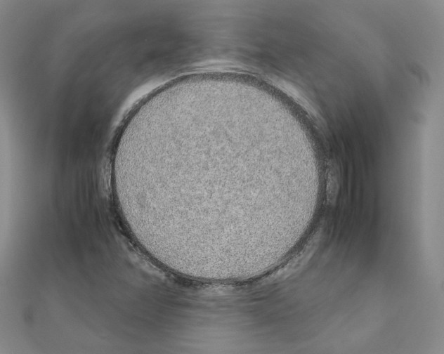 X0000110911358200907301533