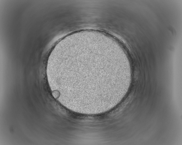 X0000110911359200907301533